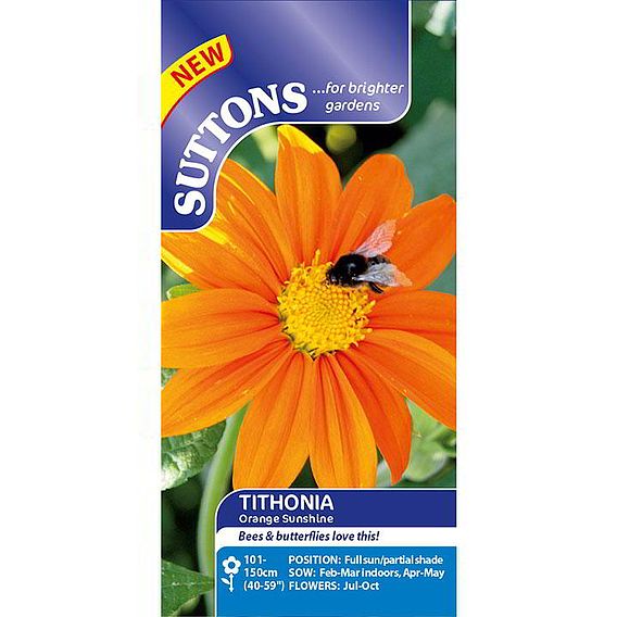 Tithonia Seeds - Orange (Mexican Sunflower)
