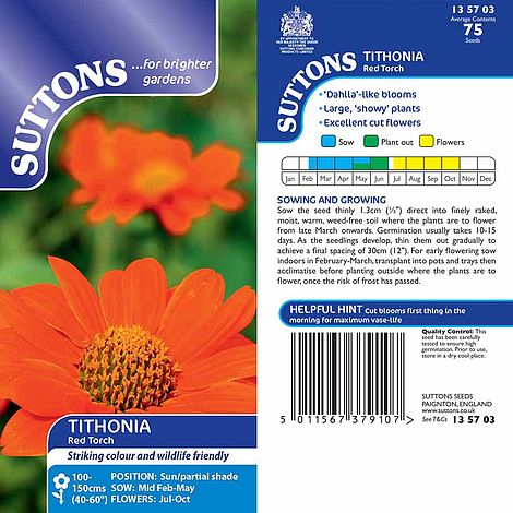 Tithonia Seeds - Red Torch