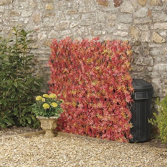 Expandable Artificial Red Acer Hedge Trellis