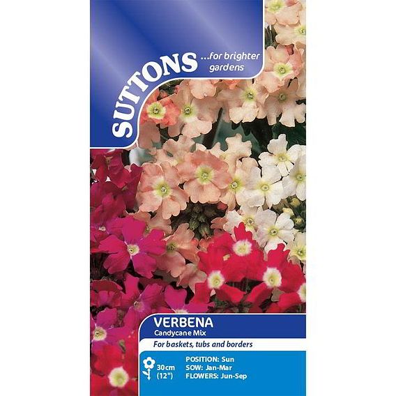 Verbena Seeds - Candycane Mix