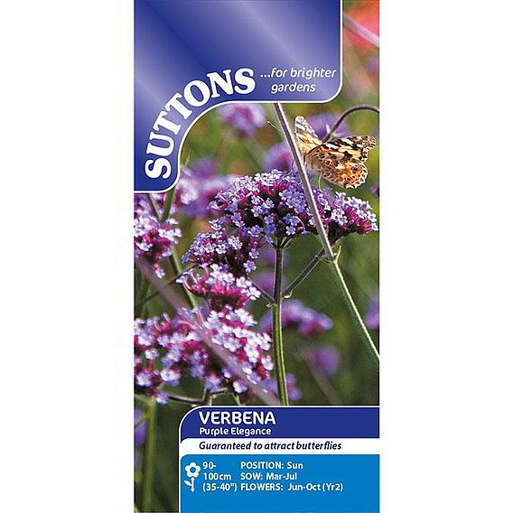 Verbena bonariensis 'Purple Elegance' - Seeds