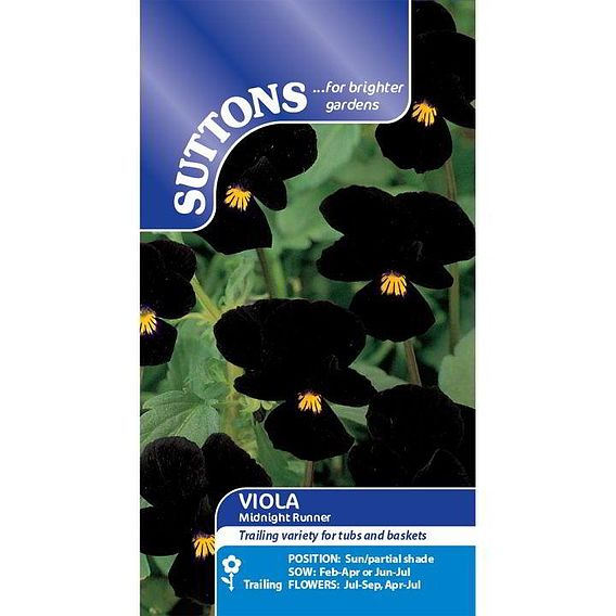 Viola 'Blackjack (Black Devil)' - Seeds