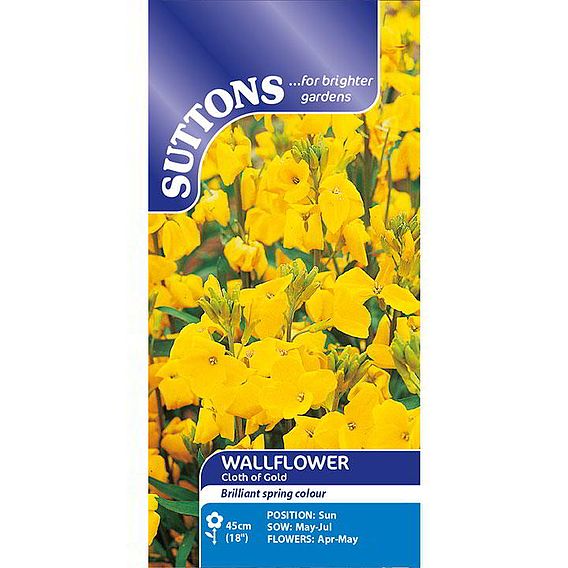 Wallflower 'Cloth of Gold' - Seeds