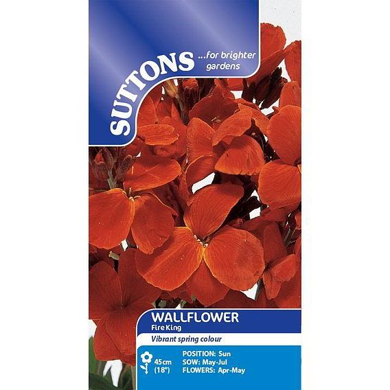 Wallflower 'Fire King' - Seeds