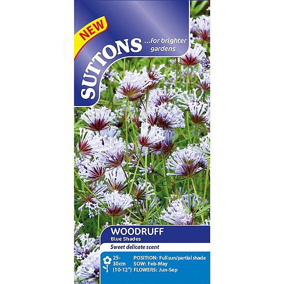 Blue Woodruff 'Blue Shades' - Seeds