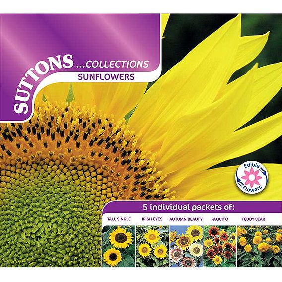 Sunflower 'Collection' - Seeds
