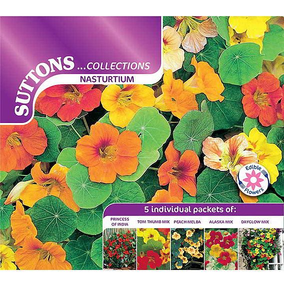 Nasturtium Seeds - Collection