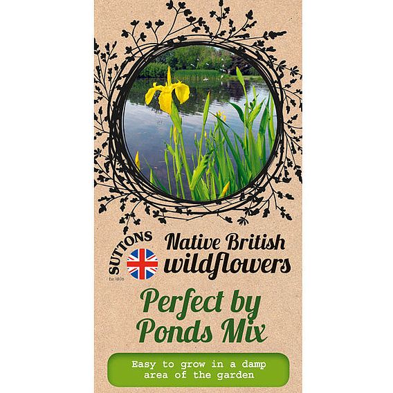 Perfect by Ponds Mix - Seeds