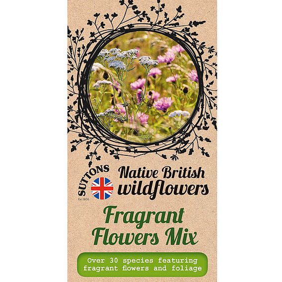 Fragrant Flowers Mix - Native British Wildflower Seeds