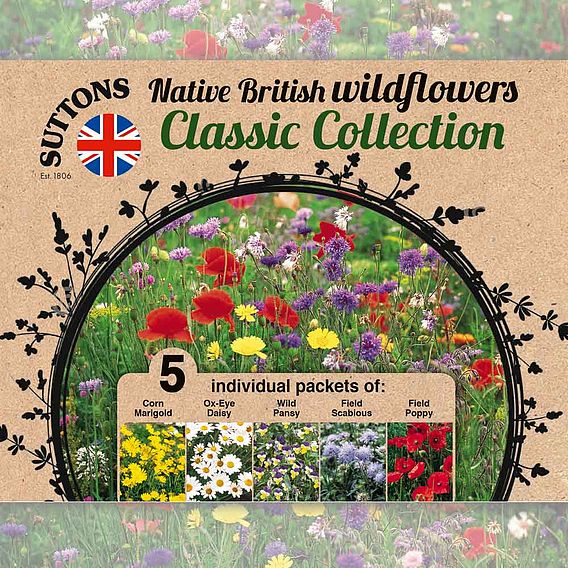 Wildflower Mix Collection - Seeds