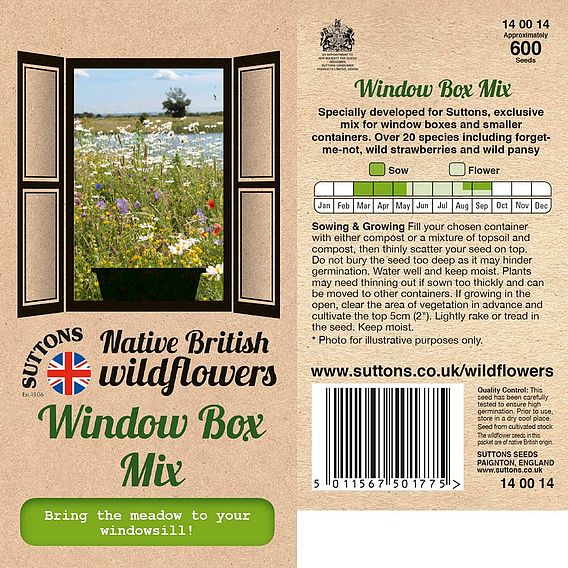 Native British Wildflowers 'Window Box Mix' - Seeds