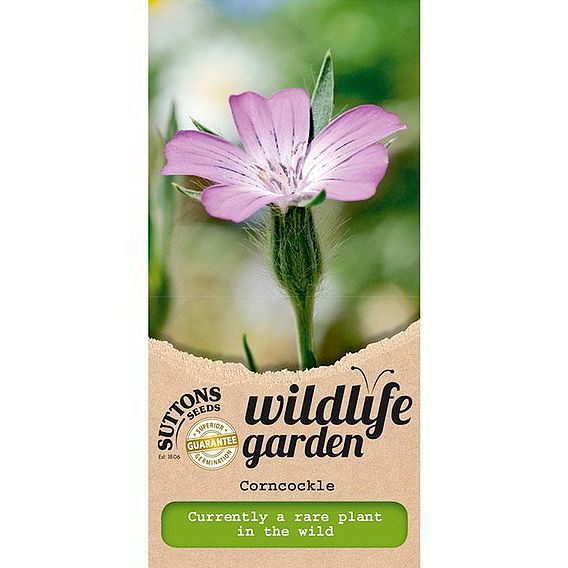 Corncockle - Wildlife Garden Seeds