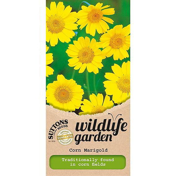 Corn Marigold - Wildlife Garden Seeds