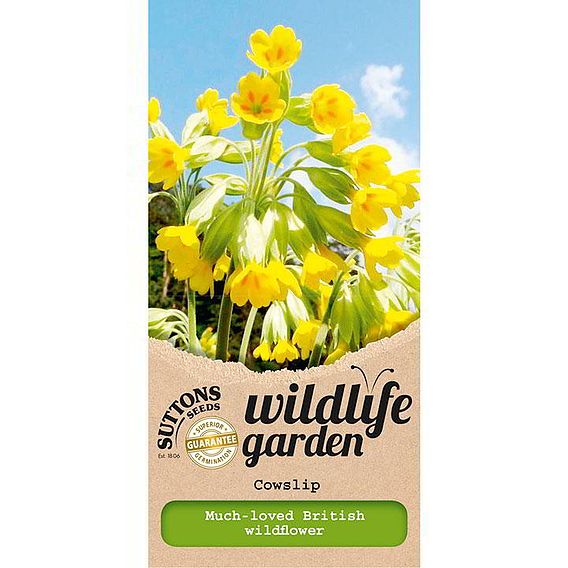 Cowslip - Seeds