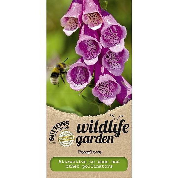 Wild Foxglove - Seeds