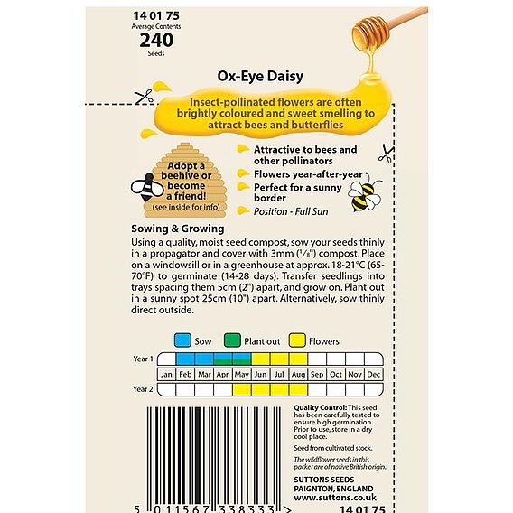 Ox-Eye Daisy Wildlife Flower - Seeds