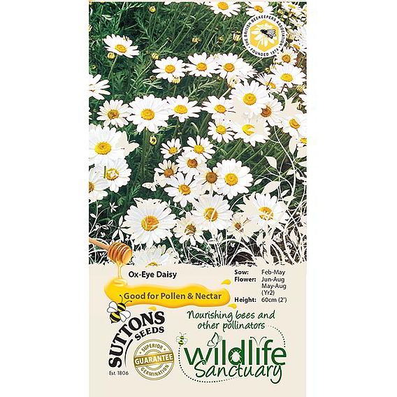 Ox-Eye Daisy Wildlife Flower Seeds