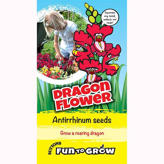 Antirrhinum 'Dragon Flower (Magic Carpet Mix)' - Seeds