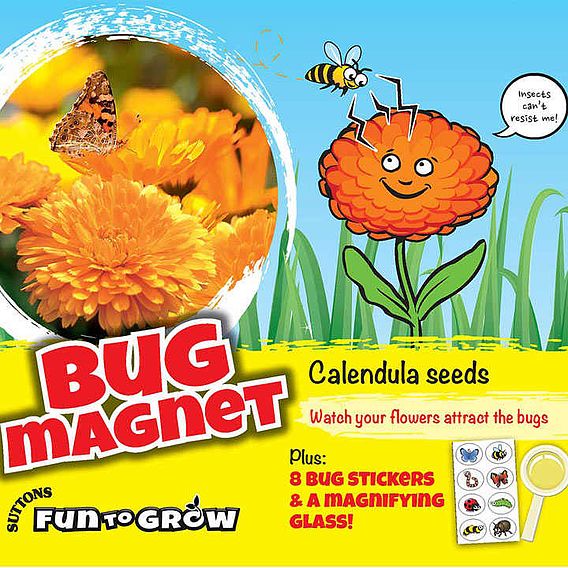 Calendula Seeds - Bug Magnet (Daisy Mix)