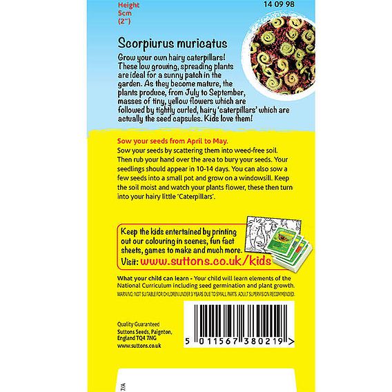 Scorpiurus muricatus 'Caterpillar Plant (Mix)' - Seeds