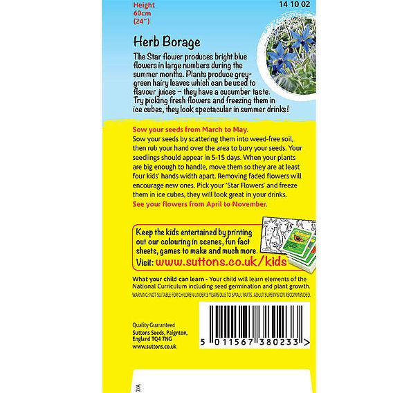 Borage 'Star Flower' - Seeds