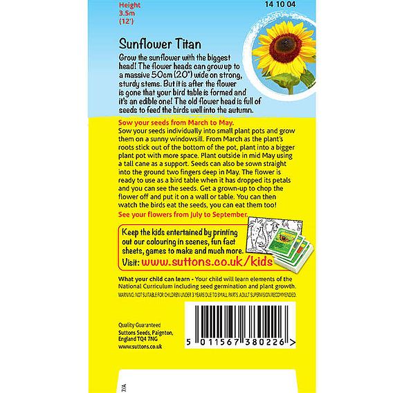 Sunflower 'Bird Table Flower (Titan)' - Seeds