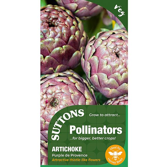 Artichoke 'Purple De Provence' - Seeds for Pollinators