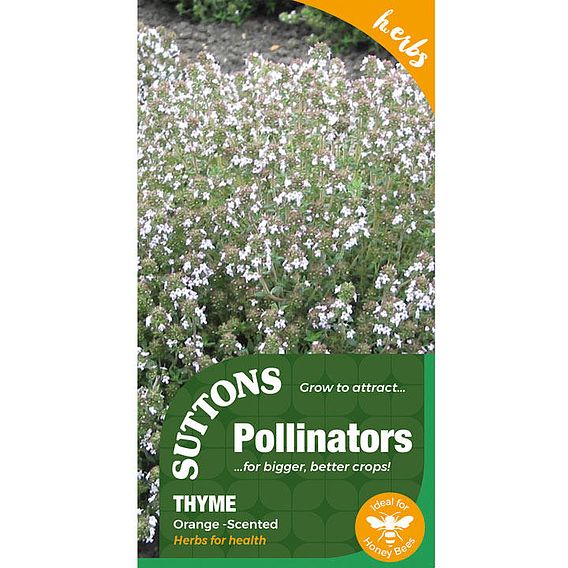 Seeds for Pollinators - Thyme Orange Scented