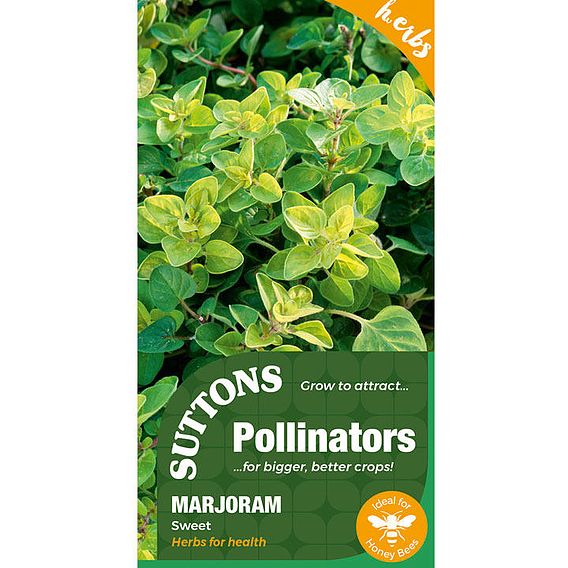 Seeds for Pollinators - Marjoram Sweet