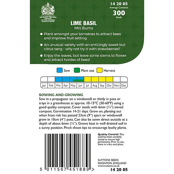 Basil Lime Mrs Burns - Seeds for Pollinators