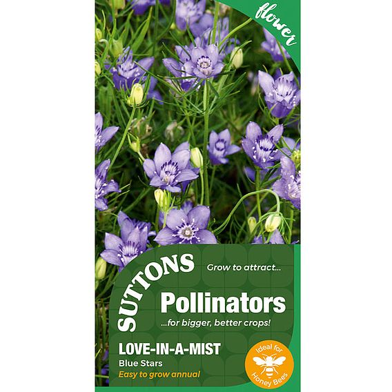 Love-in-a-Mist 'Blue Stars' - Pollinator Seeds
