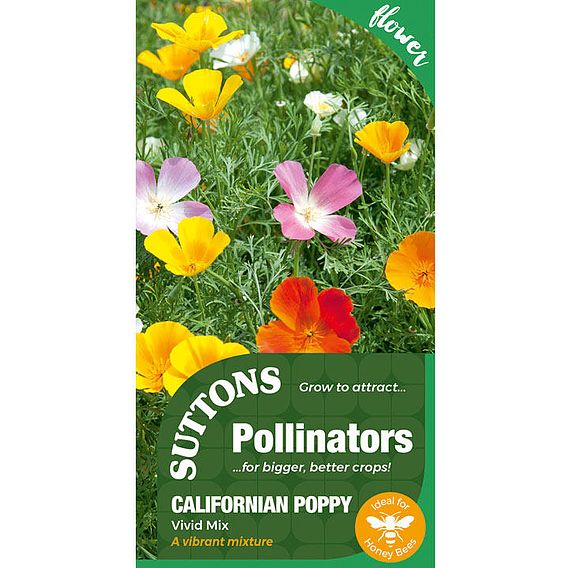 Seeds for Pollinators - Vivid Mix