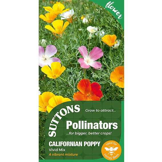 Californian Poppy 'Vivid Mix' - Seeds for Pollinators