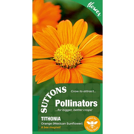 Tithonia 'Orange' (Mexican Sunflower) - Pollinator Seeds