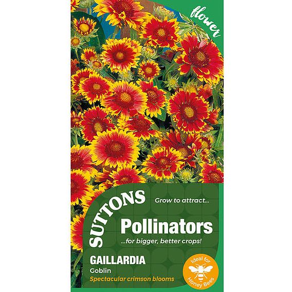 Gaillardia Goblin - Seeds for Pollinators