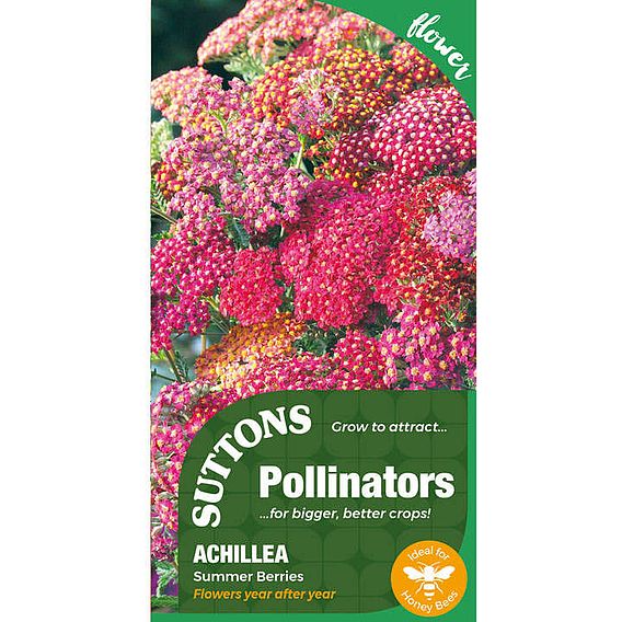 Achillea Pollinator Seeds - Summer Berries