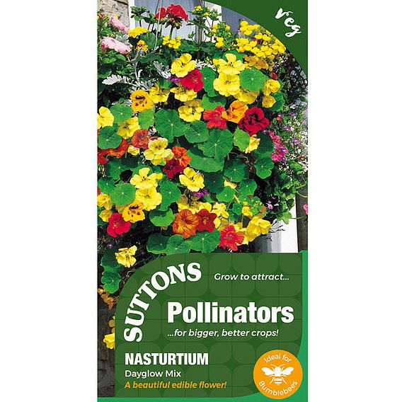 Nasturtium 'Dayglow Mix' - Pollinator Seeds