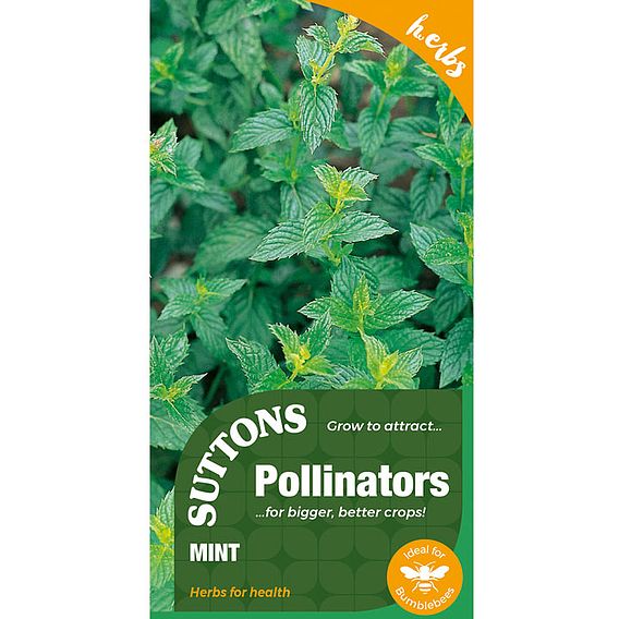 Mint - Pollinator Seeds
