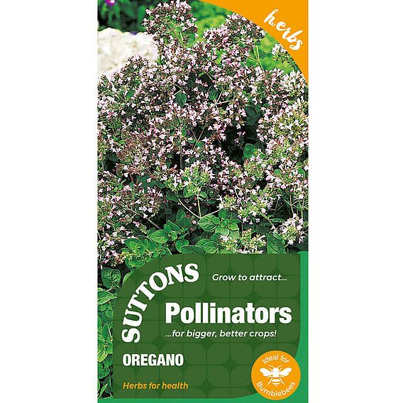 Seeds for Pollinators - Oregano