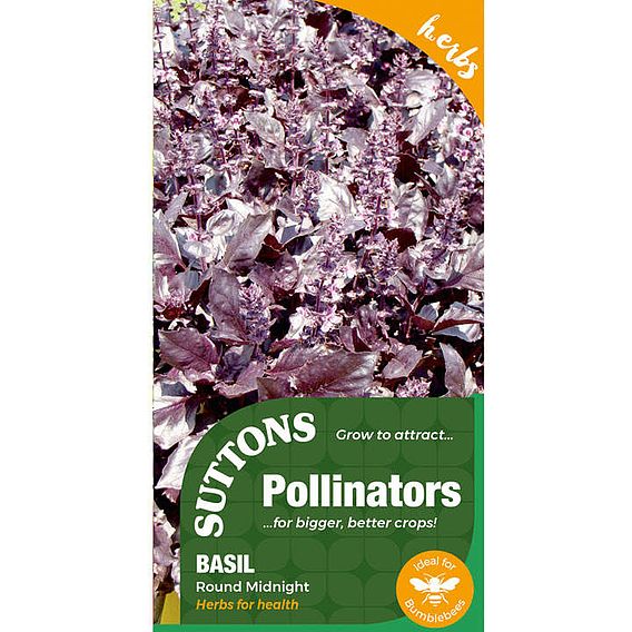 Seeds for Pollinators - Basil Round Midnight