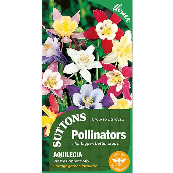 Aquilegia Seeds - Pretty Bonnets Mix