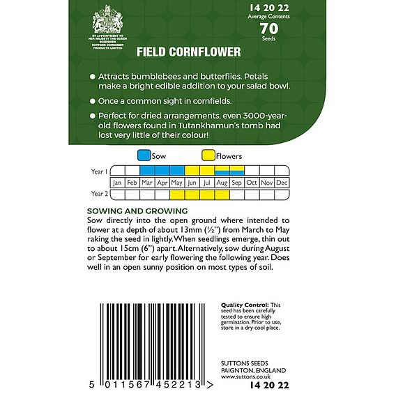 Field Cornflower - Seeds for Pollinators