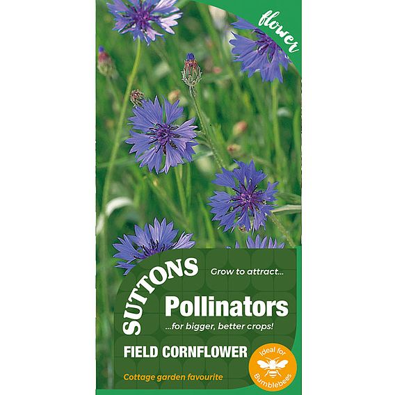 Seeds for Pollinators - Field Cornflower