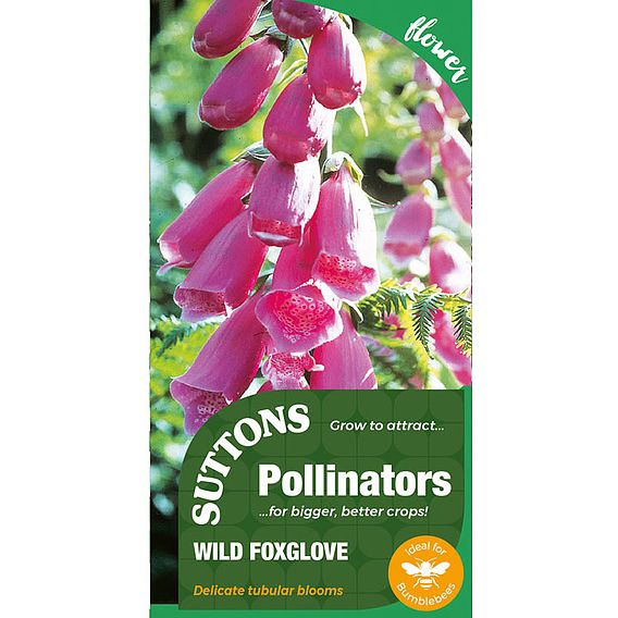 Wild Foxglove - Pollinator Seeds