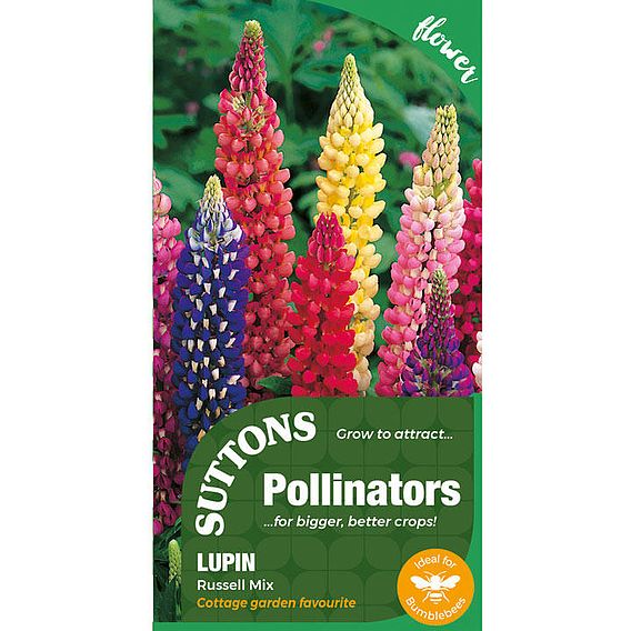 Seeds for Pollinators - Russel Mix
