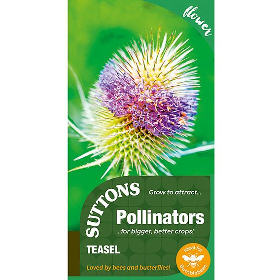 Seeds for Pollinators - Teasel Seeds