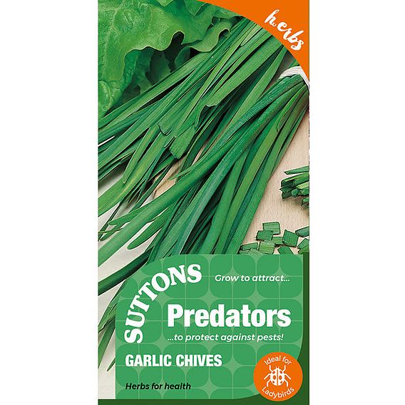 Garlic Chives - Predator Seeds