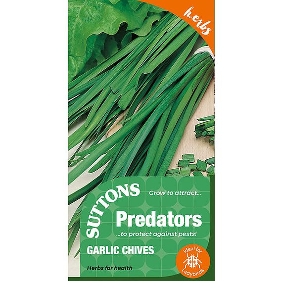 Herb Seed - Garlic Chives