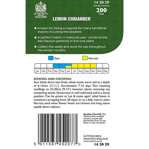 Lemon Coriander Herb - Seeds