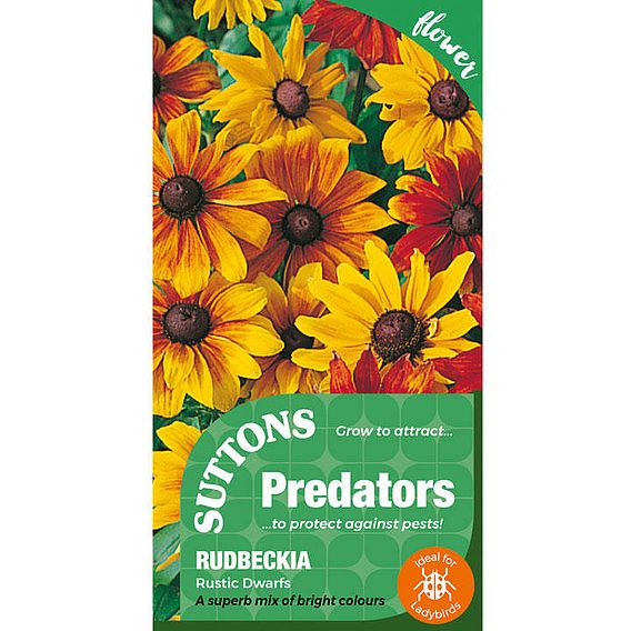 Rudbeckia 'Rustic Dwarf Mix' - Predator Seeds